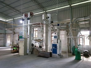 賢昌鎮鋅硒米加工廠 產業新引擎，鋪就村民致富路